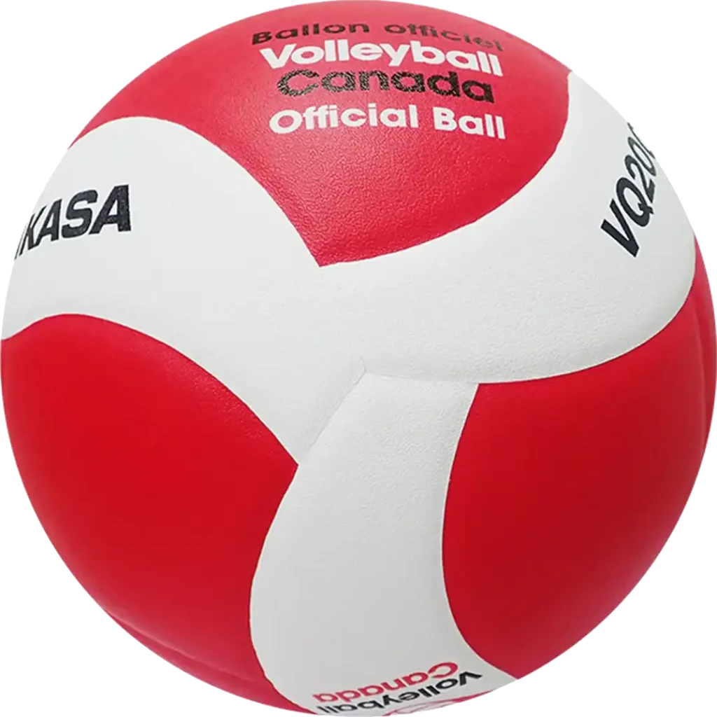 volleyball leaside new