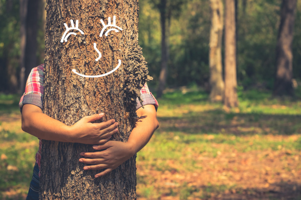 Kill the roots, save the tree: RootX treats roots inside the pipe only